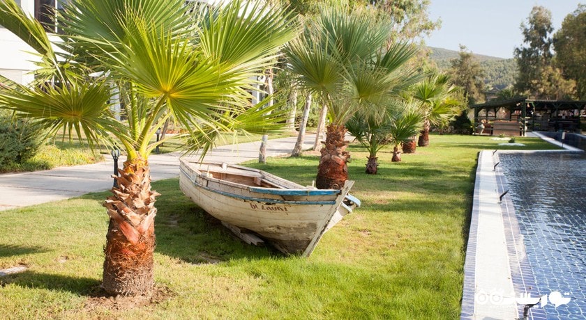 فضای سبز هتل پالم وینگز افسوس بیچ ریزورت 